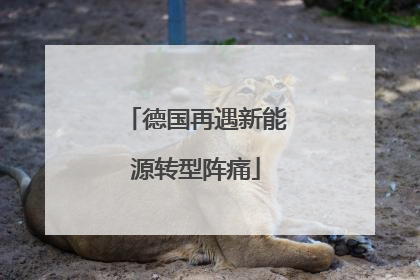 德国再遇新能源转型阵痛