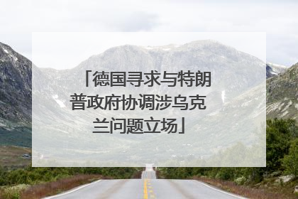 德国寻求与特朗普政府协调涉乌克兰问题立场