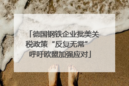 德国钢铁企业批美关税政策“反复无常” 呼吁欧盟加强应对