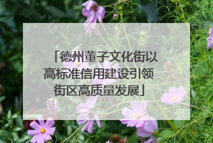 德州董子文化街以高标准信用建设引领街区高质量发展