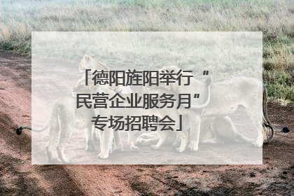 德阳旌阳举行“民营企业服务月”专场招聘会