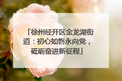 徐州经开区金龙湖街道：初心如磐永向党，砥砺奋进新征程