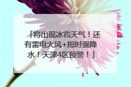 将出现冰雹天气！还有雷电大风+短时强降水！天津4区预警！