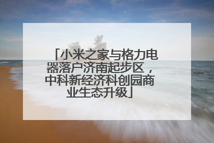 小米之家与格力电器落户济南起步区，中科新经济科创园商业生态升级