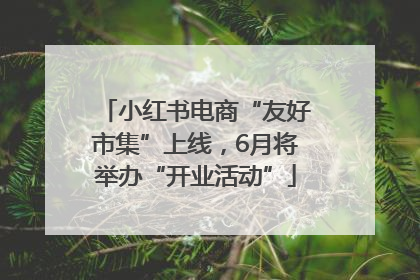 小红书电商“友好市集”上线，6月将举办“开业活动”