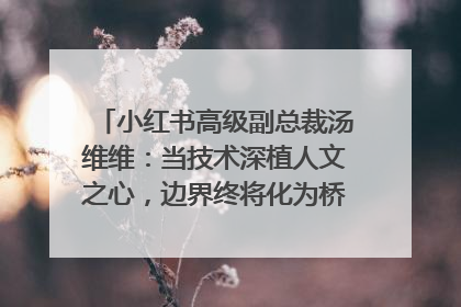 小红书高级副总裁汤维维：当技术深植人文之心，边界终将化为桥梁｜聚焦2025文化强国建设高峰论坛