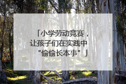 小学劳动竞赛，让孩子们在实践中“偷偷长本事”