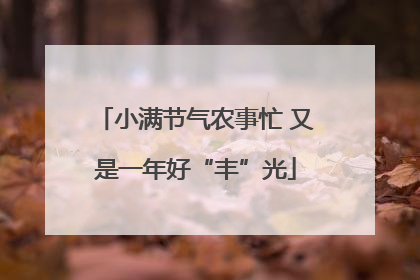 小满节气农事忙 又是一年好“丰”光