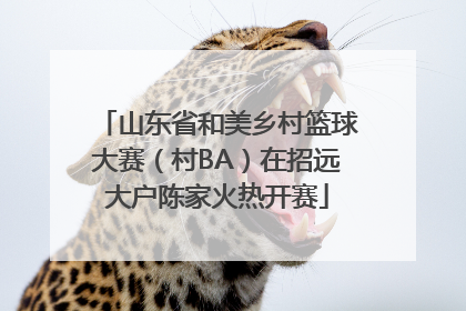 山东省和美乡村篮球大赛（村BA）在招远大户陈家火热开赛