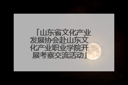 山东省文化产业发展协会赴山东文化产业职业学院开展考察交流活动
