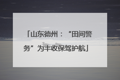 山东德州：“田间警务”为丰收保驾护航