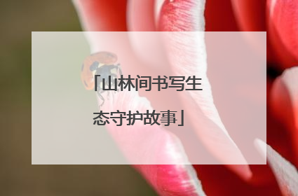 山林间书写生态守护故事