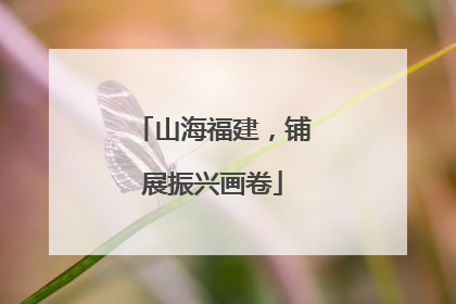 山海福建，铺展振兴画卷