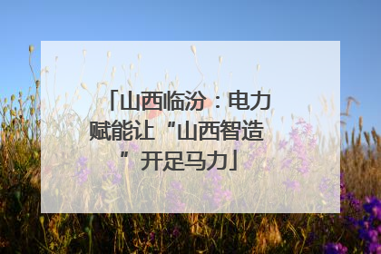 山西临汾：电力赋能让“山西智造”开足马力