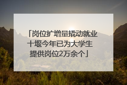 岗位扩增量撬动就业 十堰今年已为大学生提供岗位2万余个