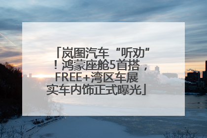 岚图汽车“听劝”！鸿蒙座舱5首搭，FREE+湾区车展实车内饰正式曝光