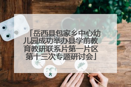 岳西县包家乡中心幼儿园成功举办县学前教育教研联系片第一片区第十三次专题研讨会