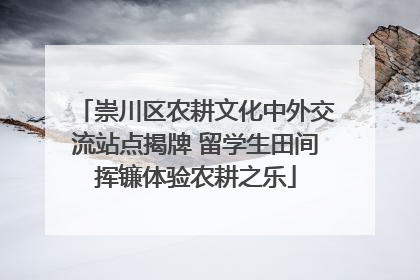 崇川区农耕文化中外交流站点揭牌 留学生田间挥镰体验农耕之乐
