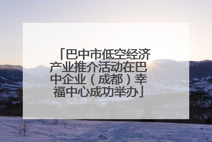 巴中市低空经济产业推介活动在巴中企业（成都）幸福中心成功举办