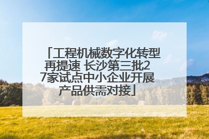工程机械数字化转型再提速 长沙第三批27家试点中小企业开展产品供需对接