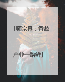 师宗县：香葱产业一路鲜