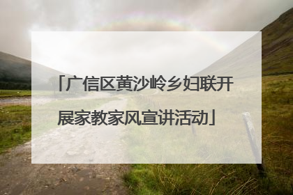 广信区黄沙岭乡妇联开展家教家风宣讲活动