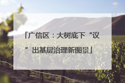 广信区：大树底下“议”出基层治理新图景