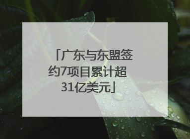 广东与东盟签约7项目累计超31亿美元