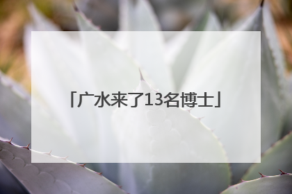 广水来了13名博士