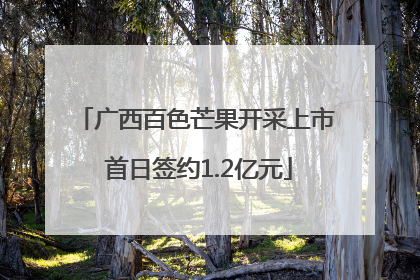 广西百色芒果开采上市 首日签约1.2亿元