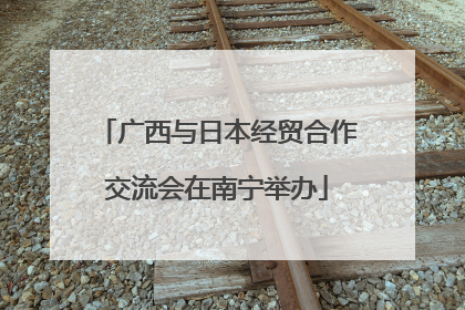 广西与日本经贸合作交流会在南宁举办