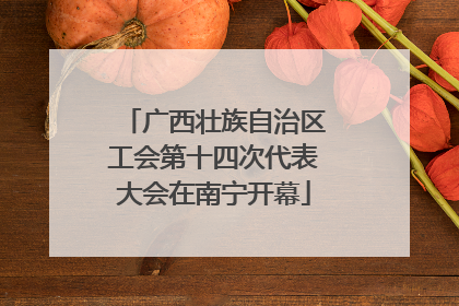 广西壮族自治区工会第十四次代表大会在南宁开幕