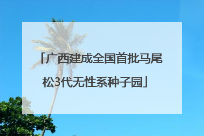 广西建成全国首批马尾松3代无性系种子园