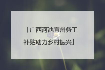 广西河池宜州务工补贴助力乡村振兴