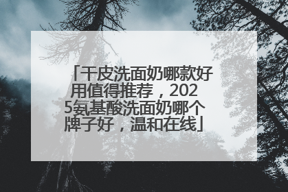 干皮洗面奶哪款好用值得推荐，2025氨基酸洗面奶哪个牌子好，温和在线