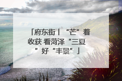 府东街丨“芒”着收获 看菏泽“三夏”好“丰景”