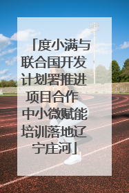 度小满与联合国开发计划署推进项目合作 中小微赋能培训落地辽宁庄河