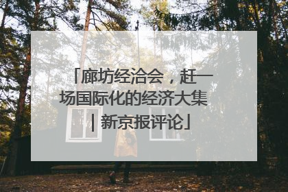 廊坊经洽会，赶一场国际化的经济大集｜新京报评论