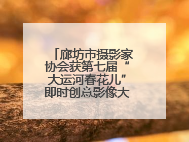 廊坊市摄影家协会获第七届“大运河春花儿”即时创意影像大赛优秀组织奖
