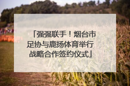 强强联手！烟台市足协与鹿扬体育举行战略合作签约仪式