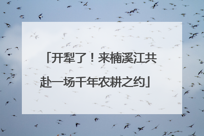 开犁了！来楠溪江共赴一场千年农耕之约