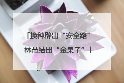 换种辟出“安全路” 林带结出“金果子”
