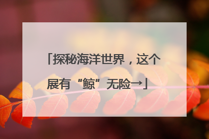 探秘海洋世界，这个展有“鲸”无险→