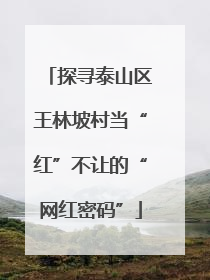 探寻泰山区王林坡村当“红”不让的“网红密码”
