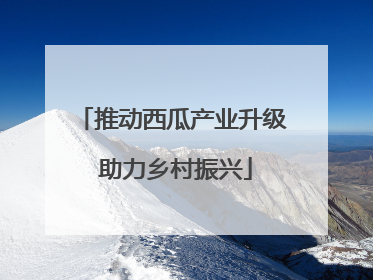 推动西瓜产业升级 助力乡村振兴