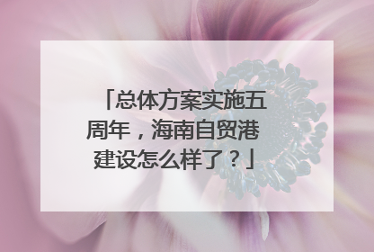 总体方案实施五周年，海南自贸港建设怎么样了？
