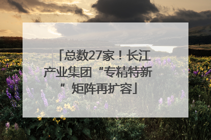 总数27家！长江产业集团“专精特新”矩阵再扩容