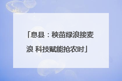 息县：秧苗绿浪接麦浪 科技赋能抢农时