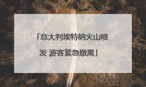 意大利埃特纳火山喷发 游客紧急撤离