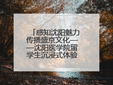 感知沈阳魅力传播盛京文化——沈阳医学院留学生沉浸式体验沈阳文旅特色